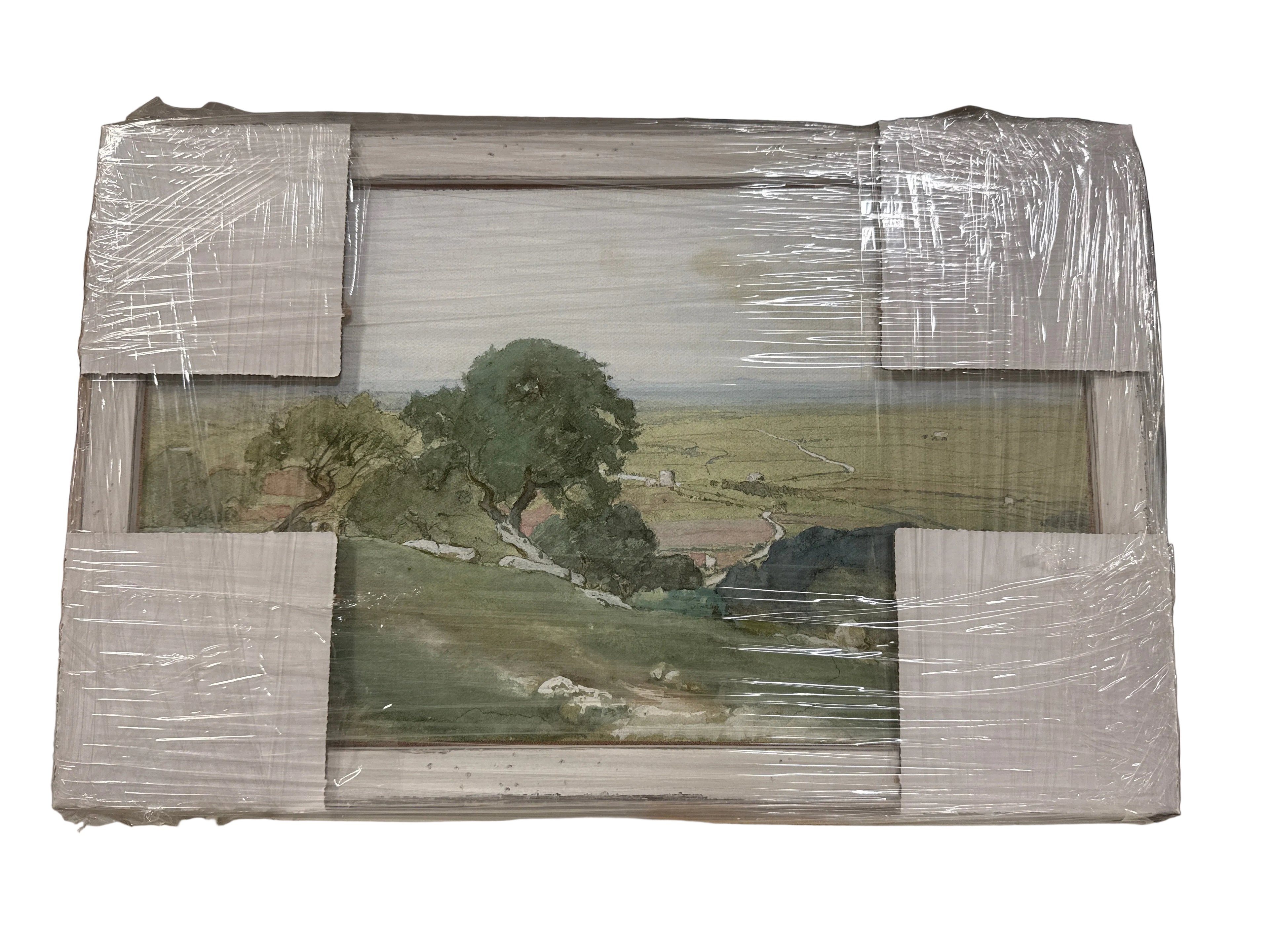Olive tree mini art rental