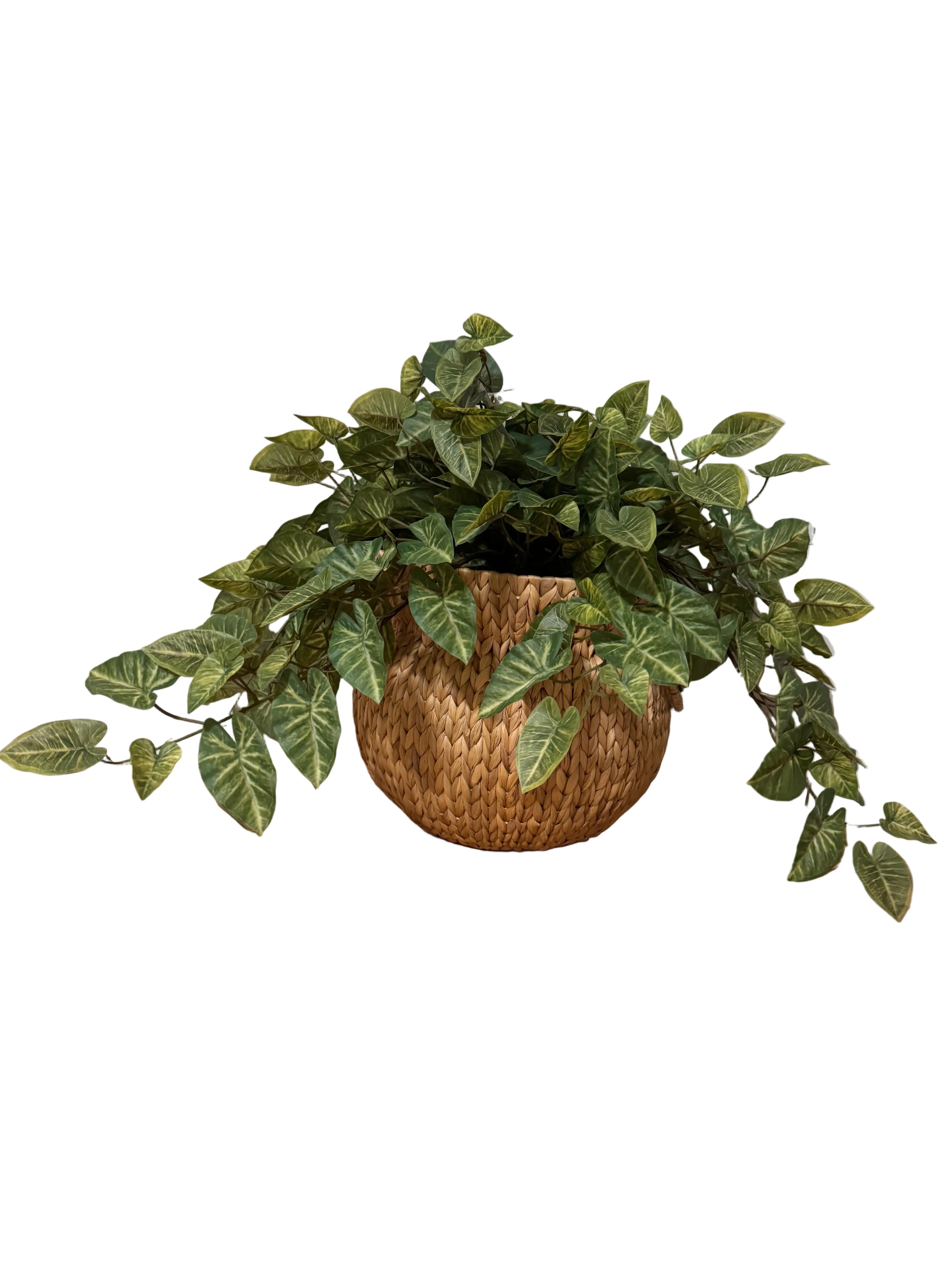 Extra large faux plant rental