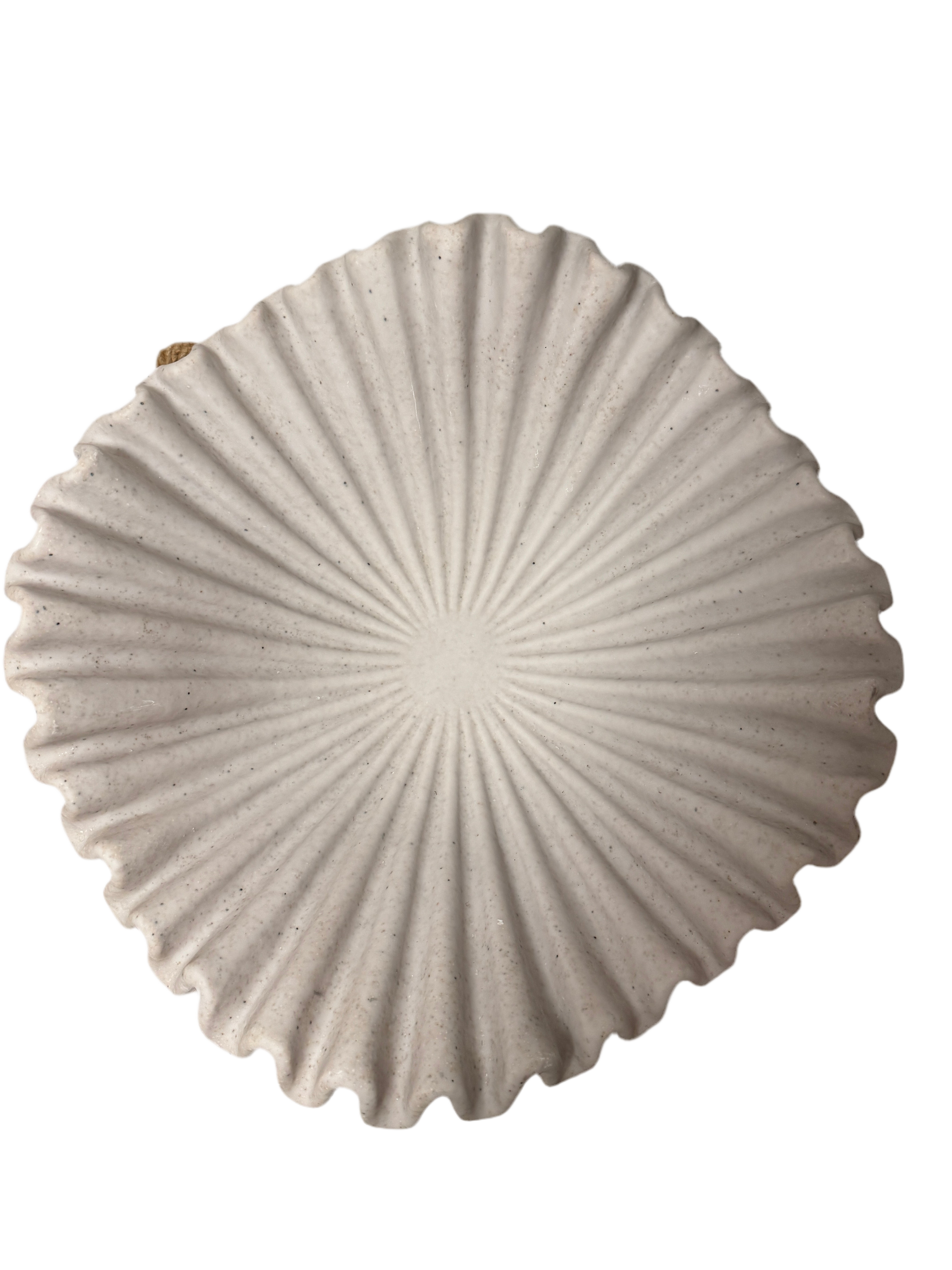 XL scalloped bowl rental
