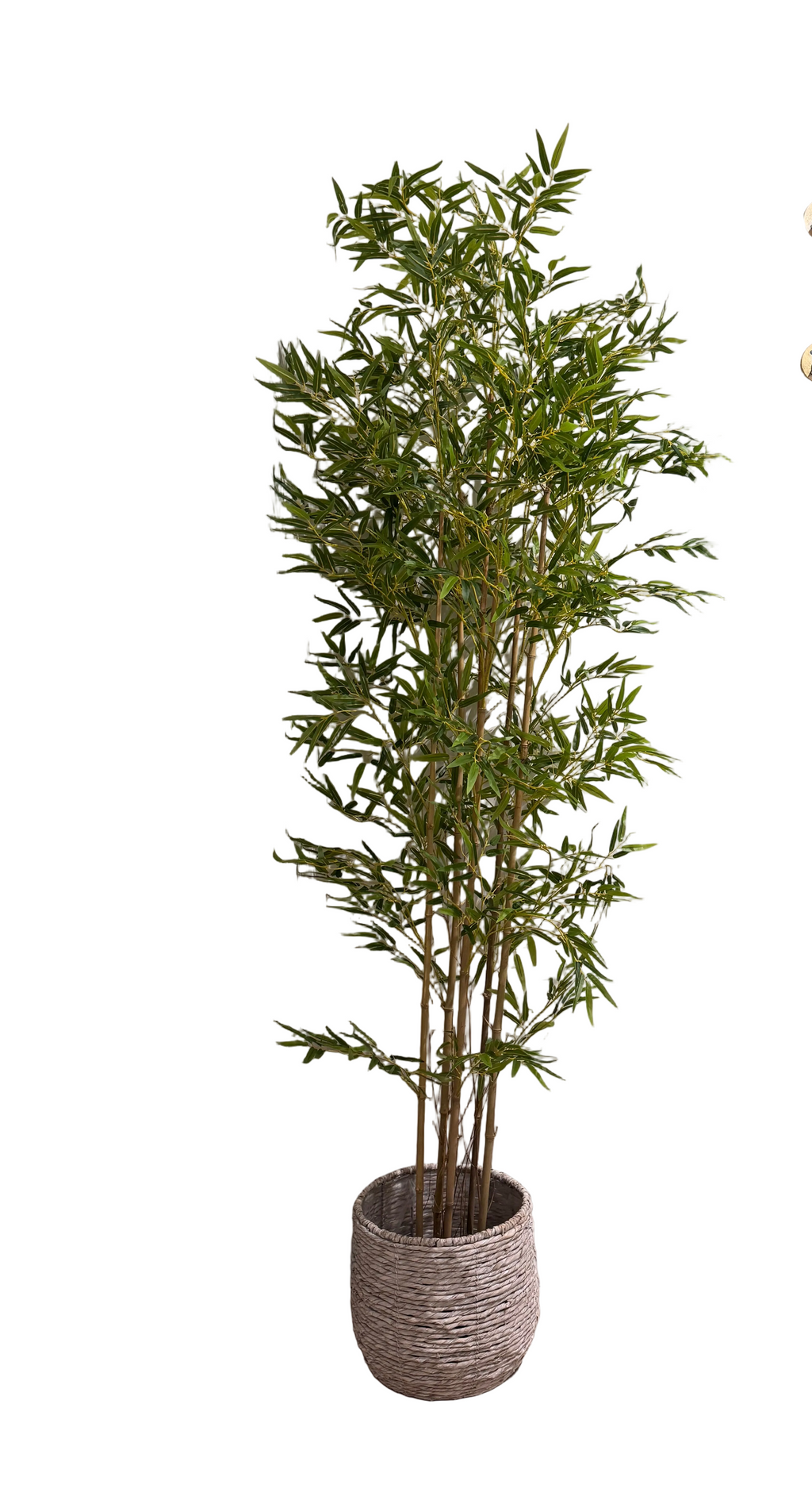 Faux 7ft tree rental