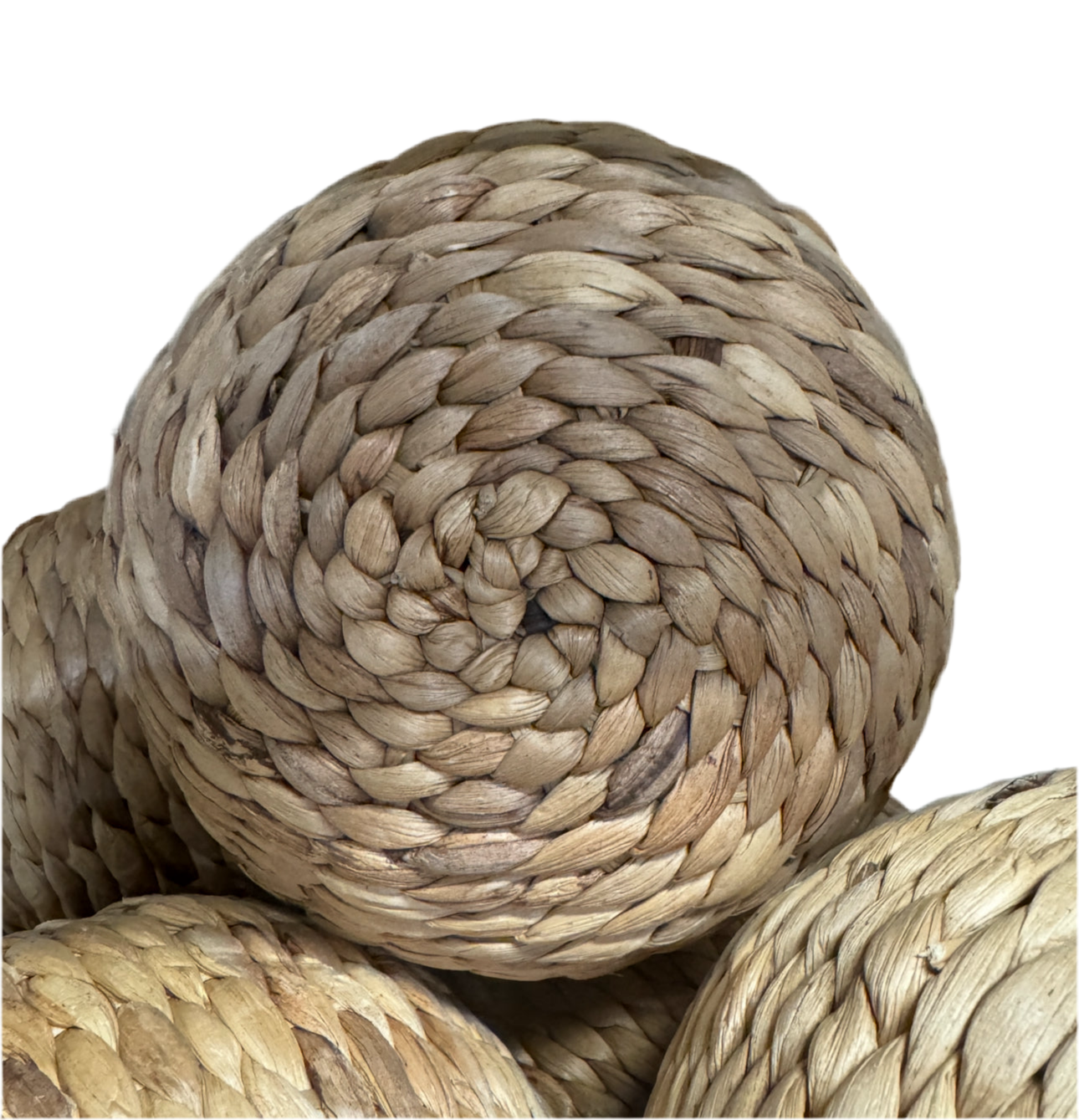 XL Banana leaf ball rental