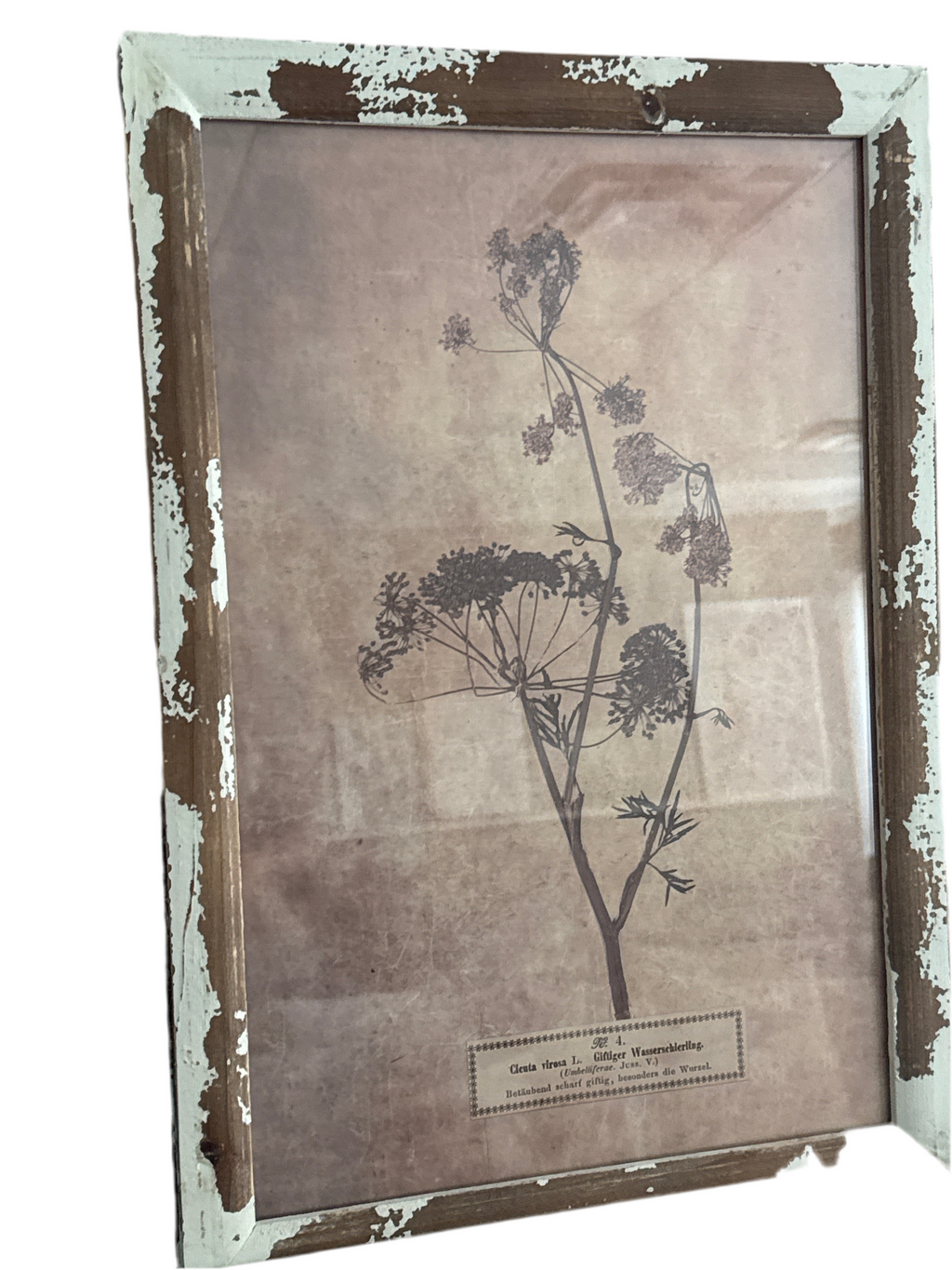 Dried floral print rental set of 2 (14”x19”)