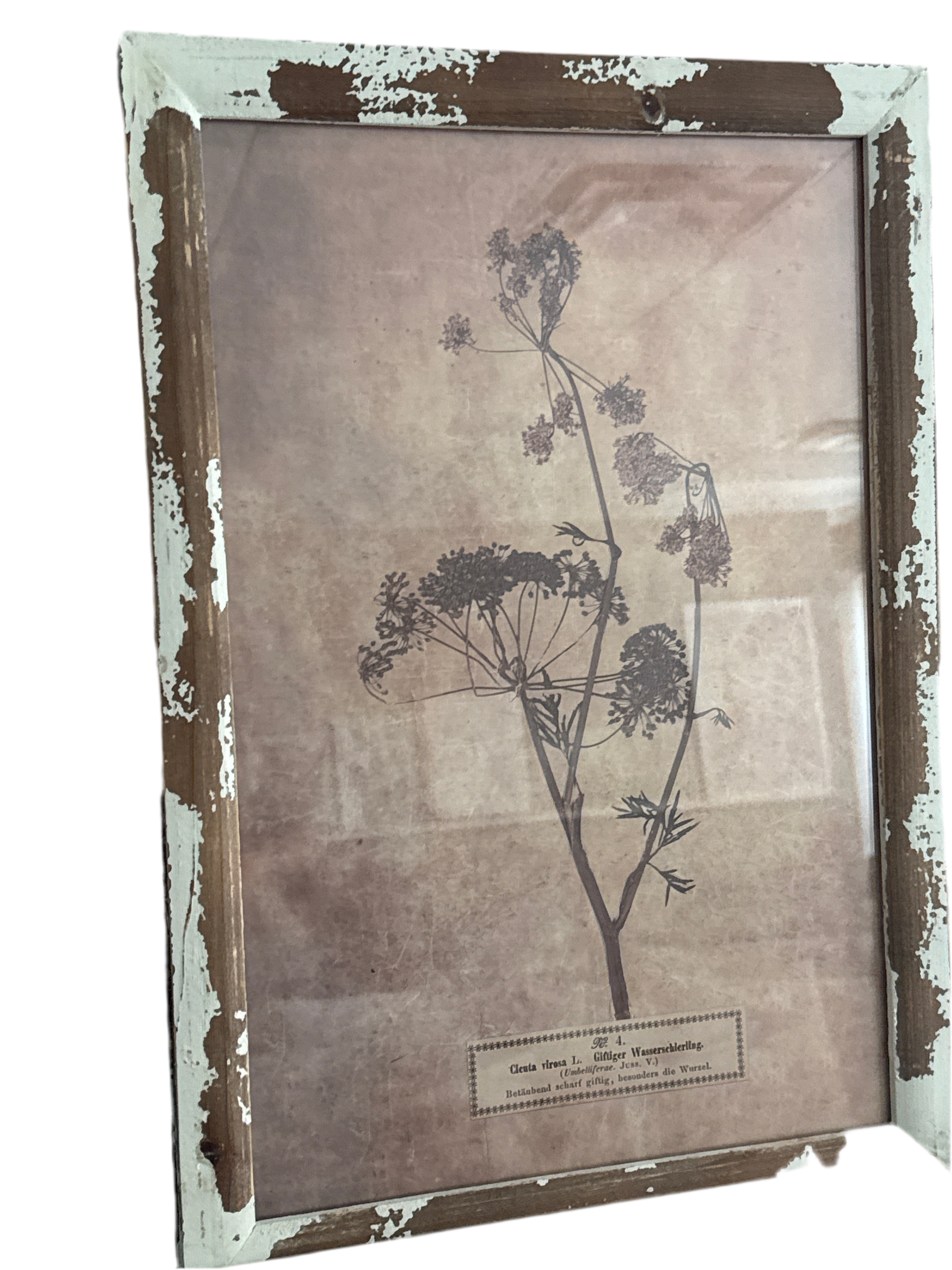 Dried floral print rental set of 2 (14”x19”)