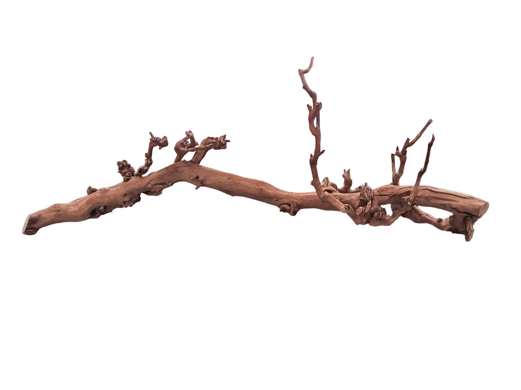 Driftwood piece rental