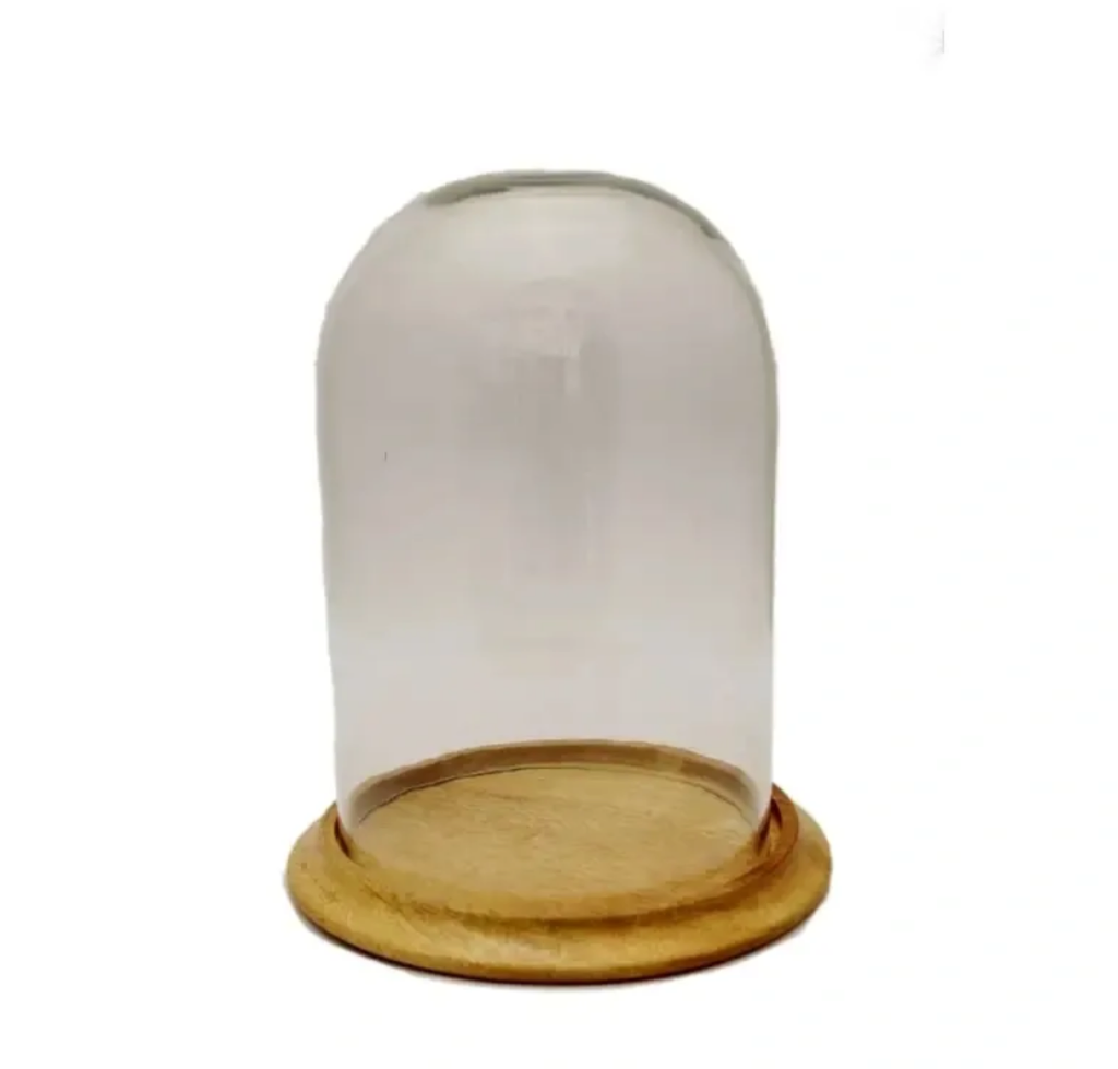 Large tall glass cloche rental