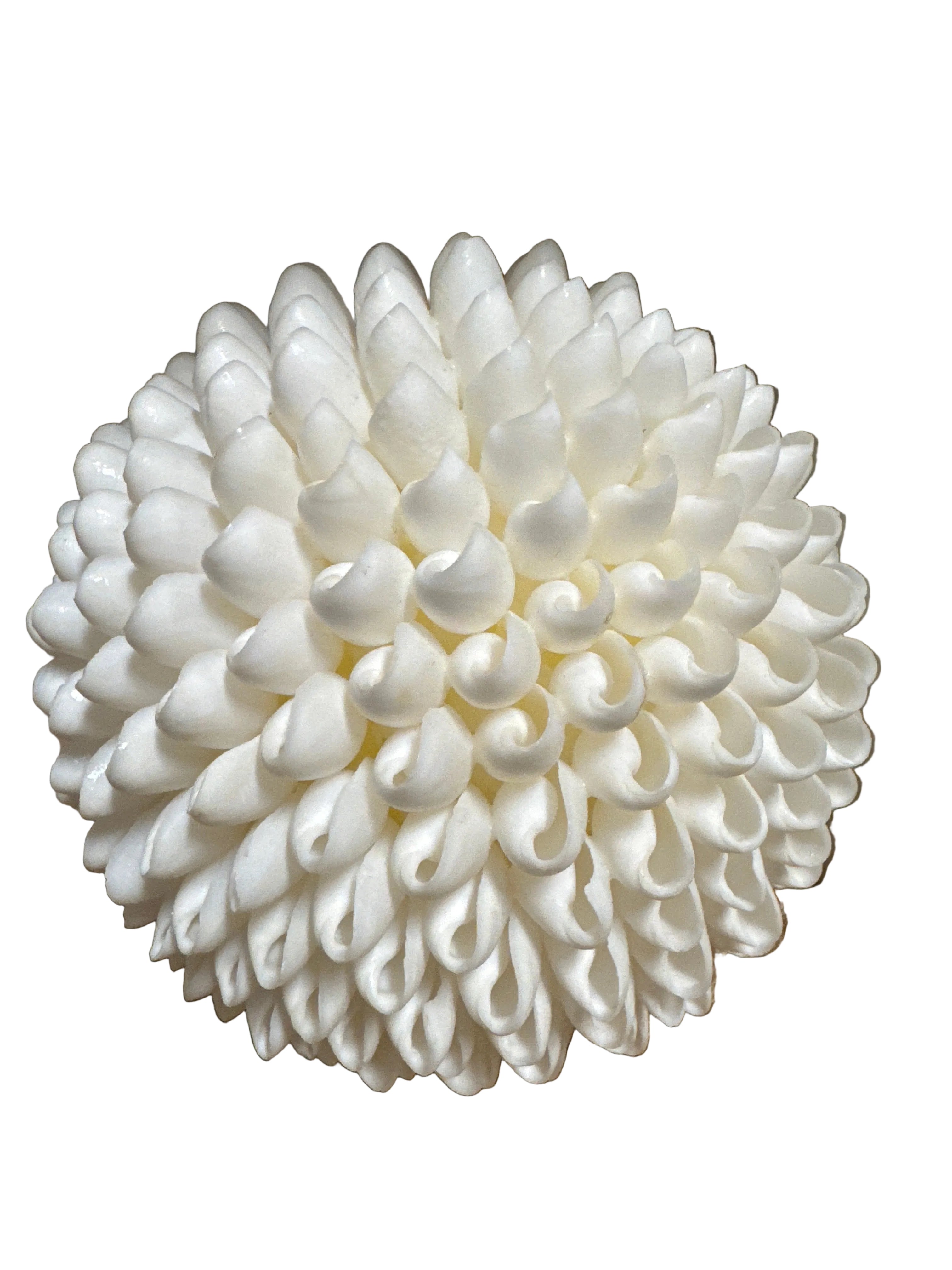 Shell ball bowl filler rental