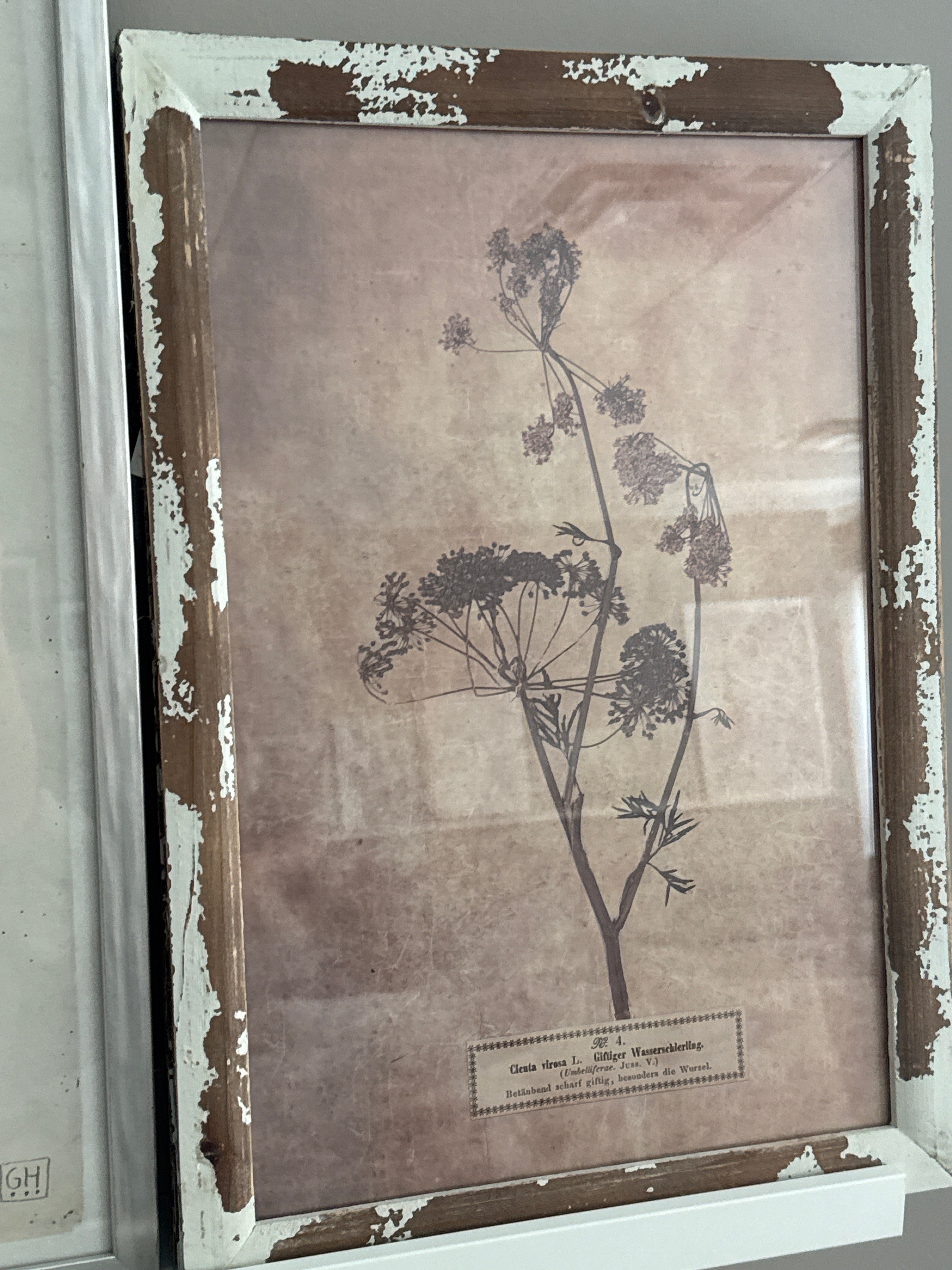 Dried floral print rental set of 2 (14”x19”)