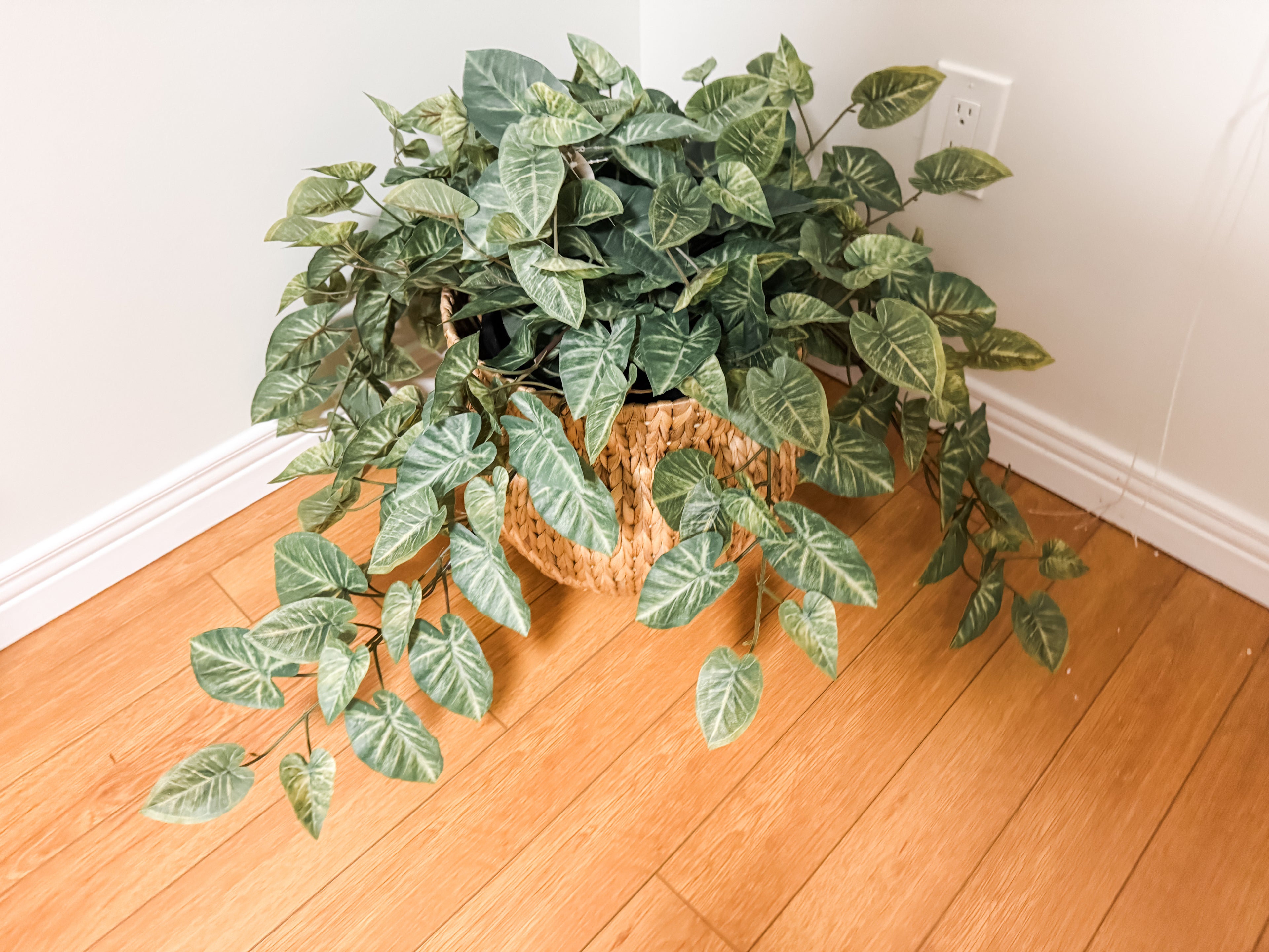 Extra large faux plant rental