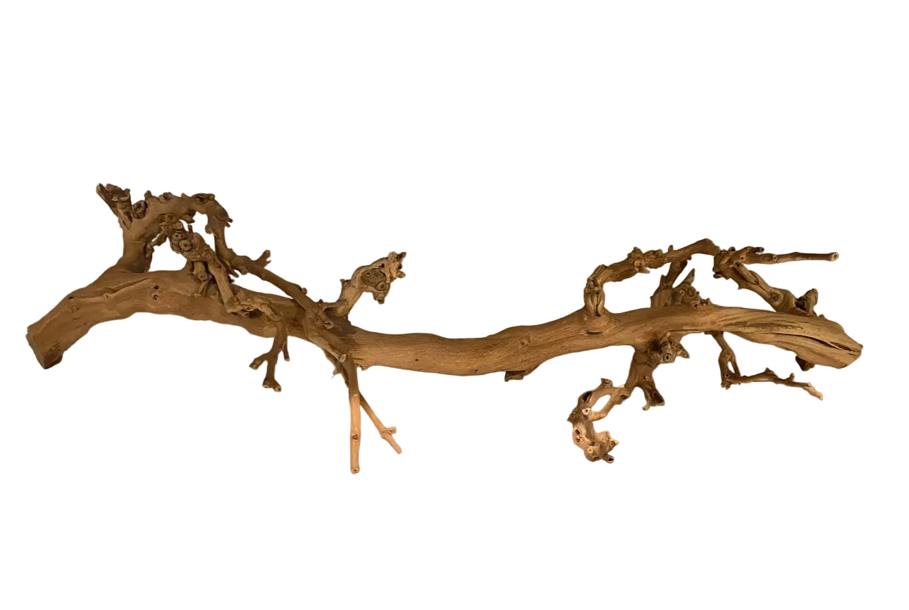 Natural branch rental