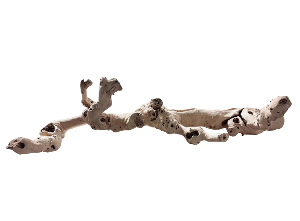 Large long driftwood piece 30” rental