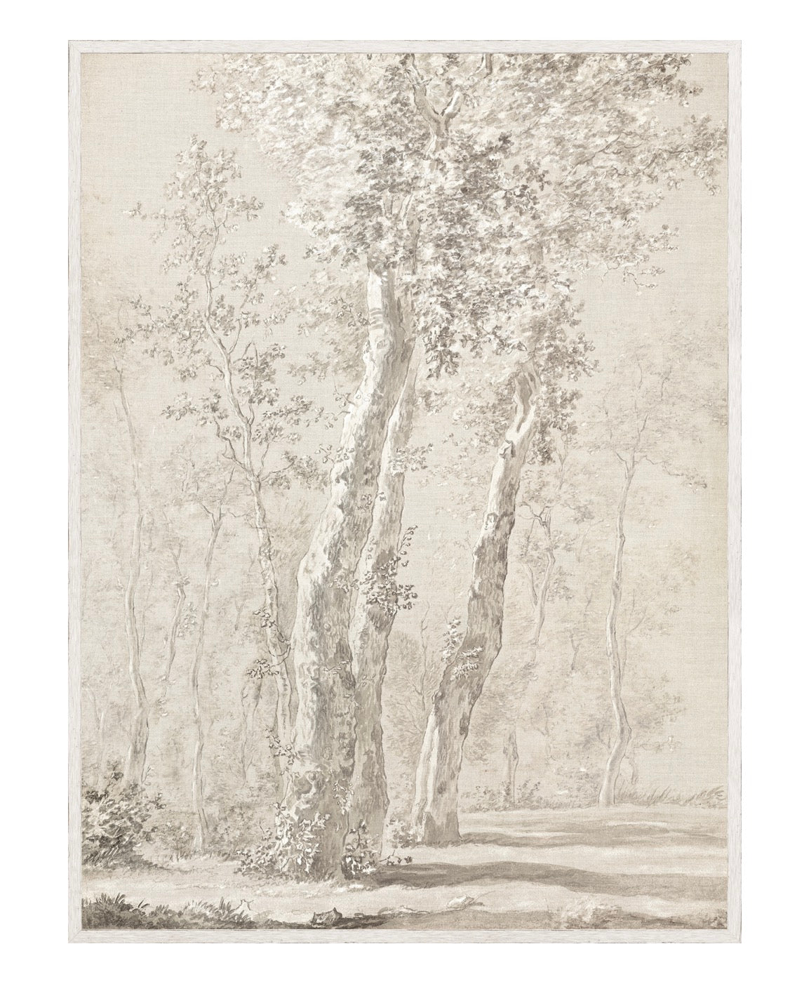 Sunlit trees large art rental 36x48”