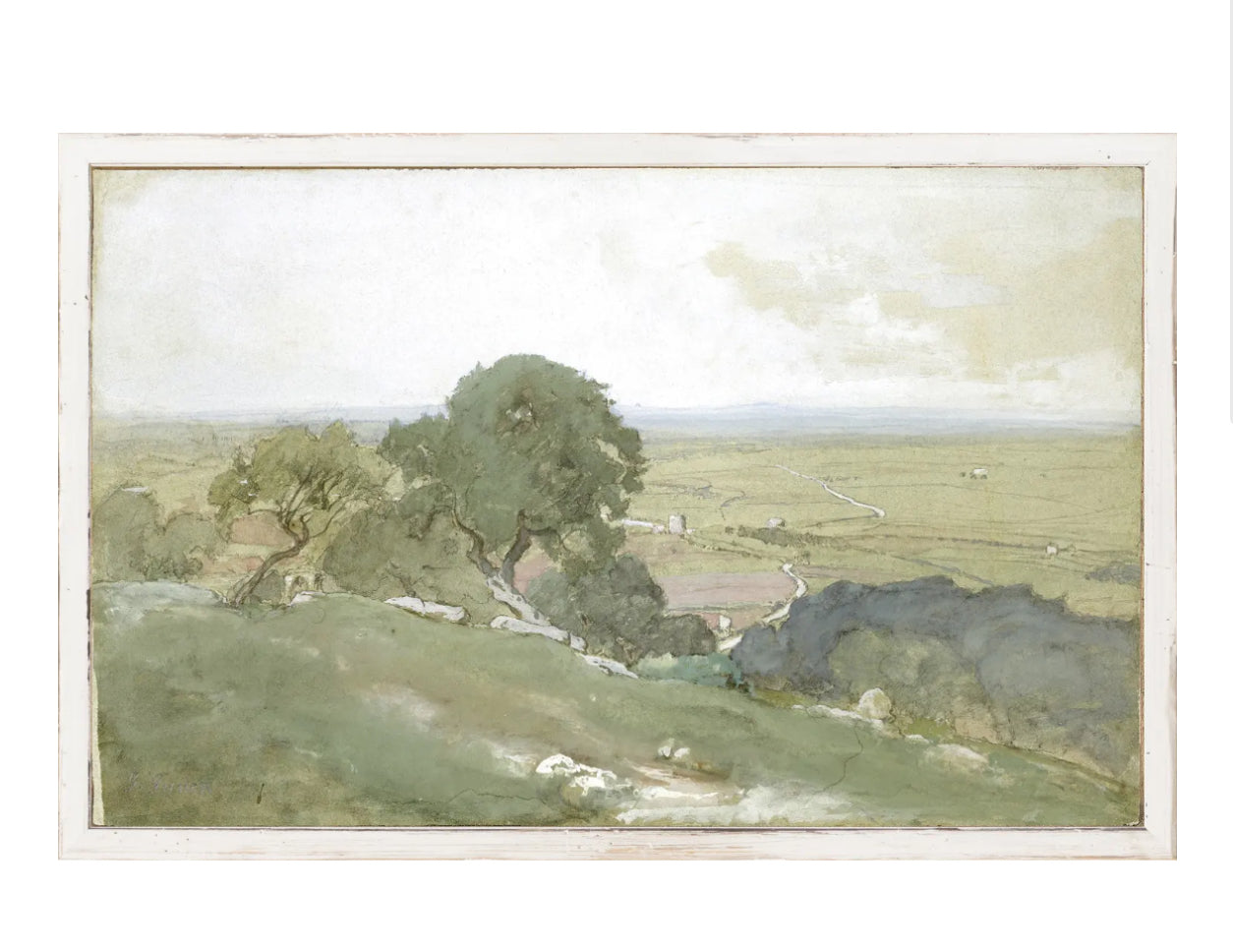 10x16” petit olive tree art rental (available mid November)