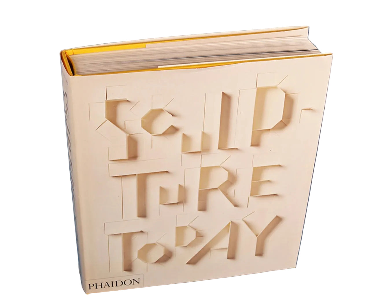 Sculpture today book rental