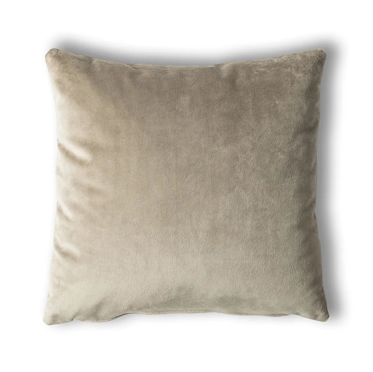 Fern velvety pillow rental