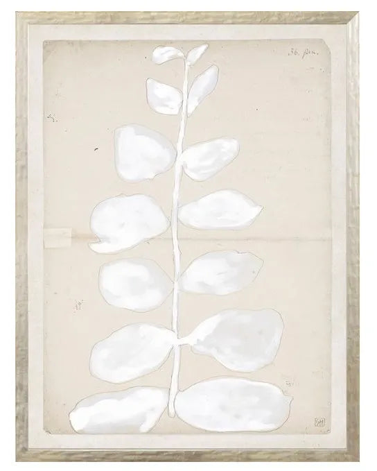 Botanical art rental