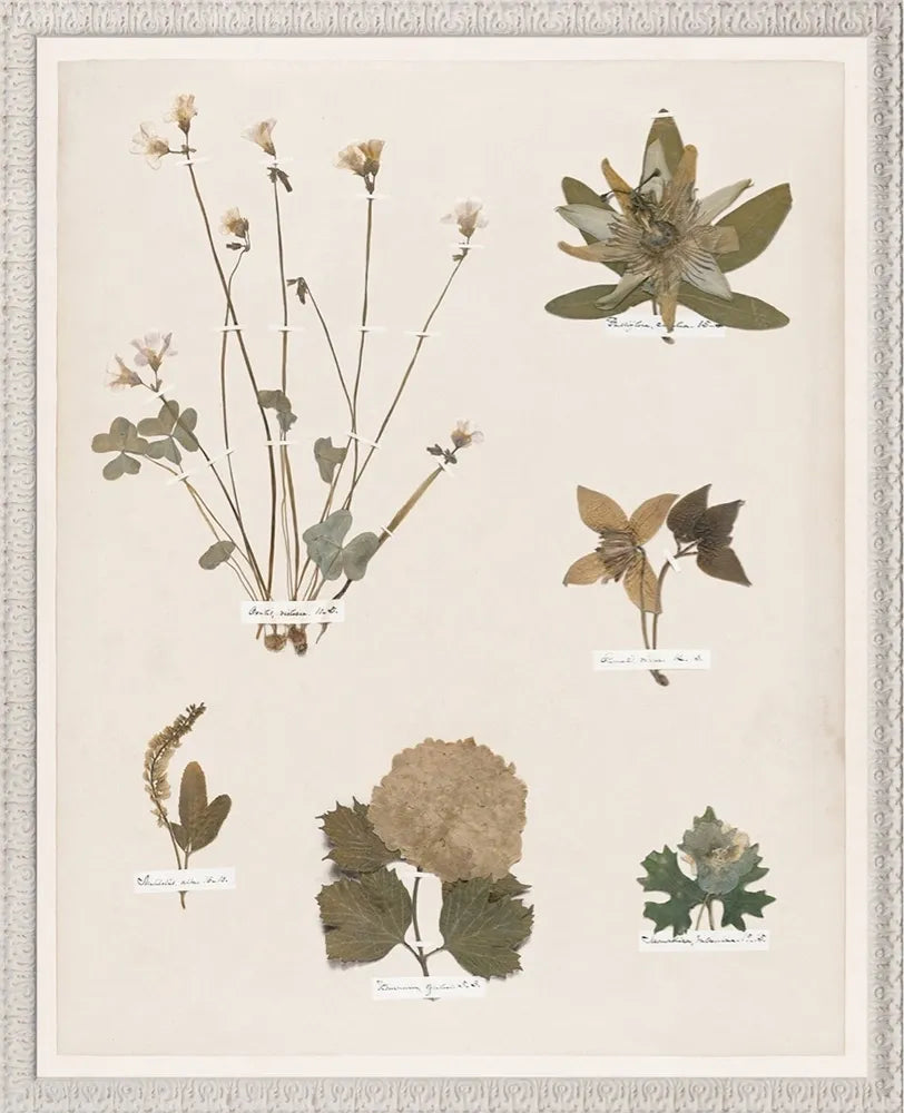 Pressed art rental