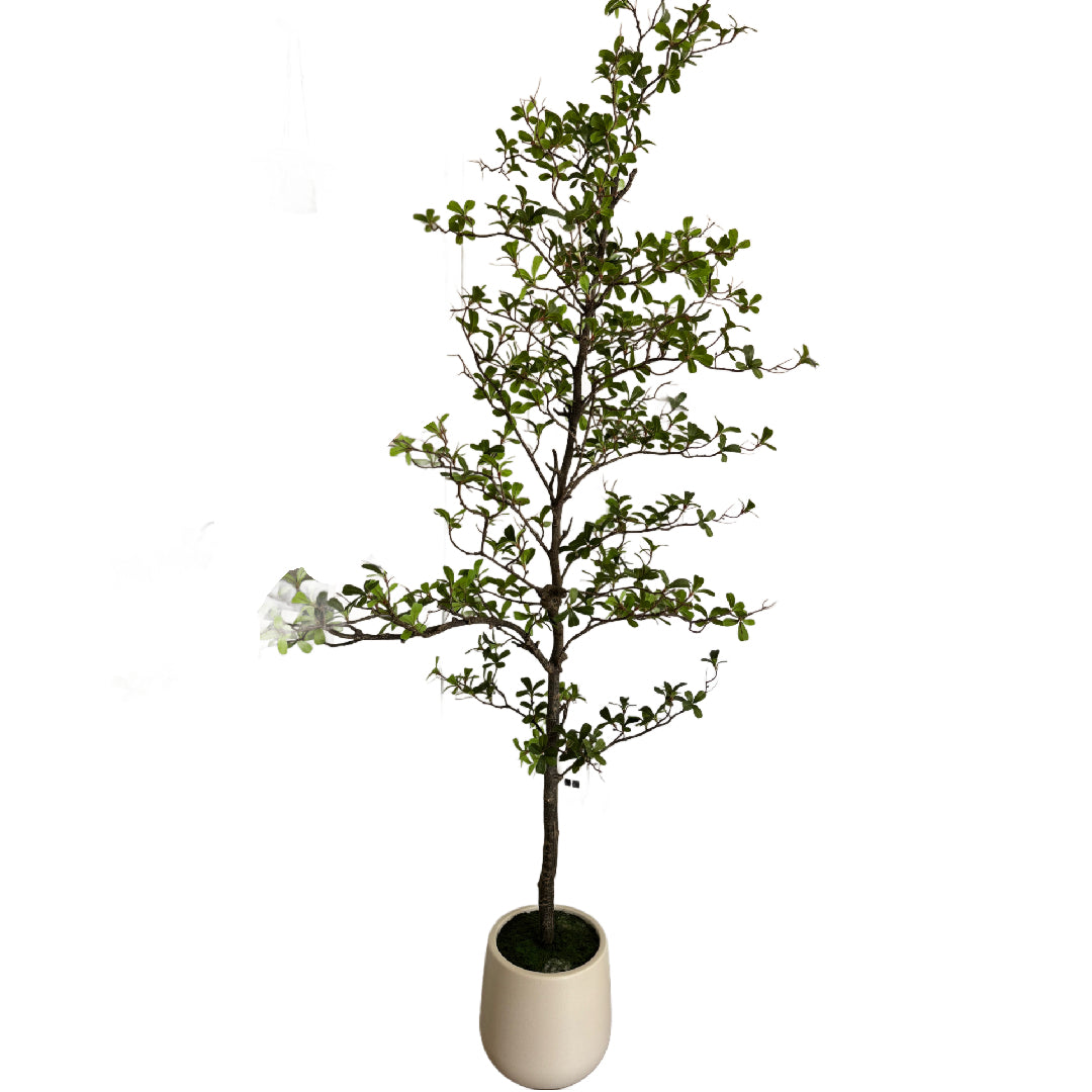 Faux ficus tree 7ft tall rental