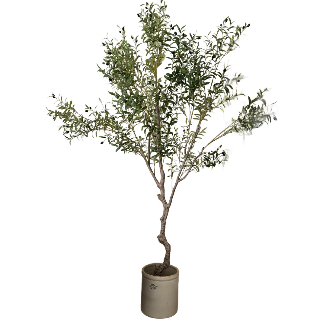 Faux 8ft olive tree rental