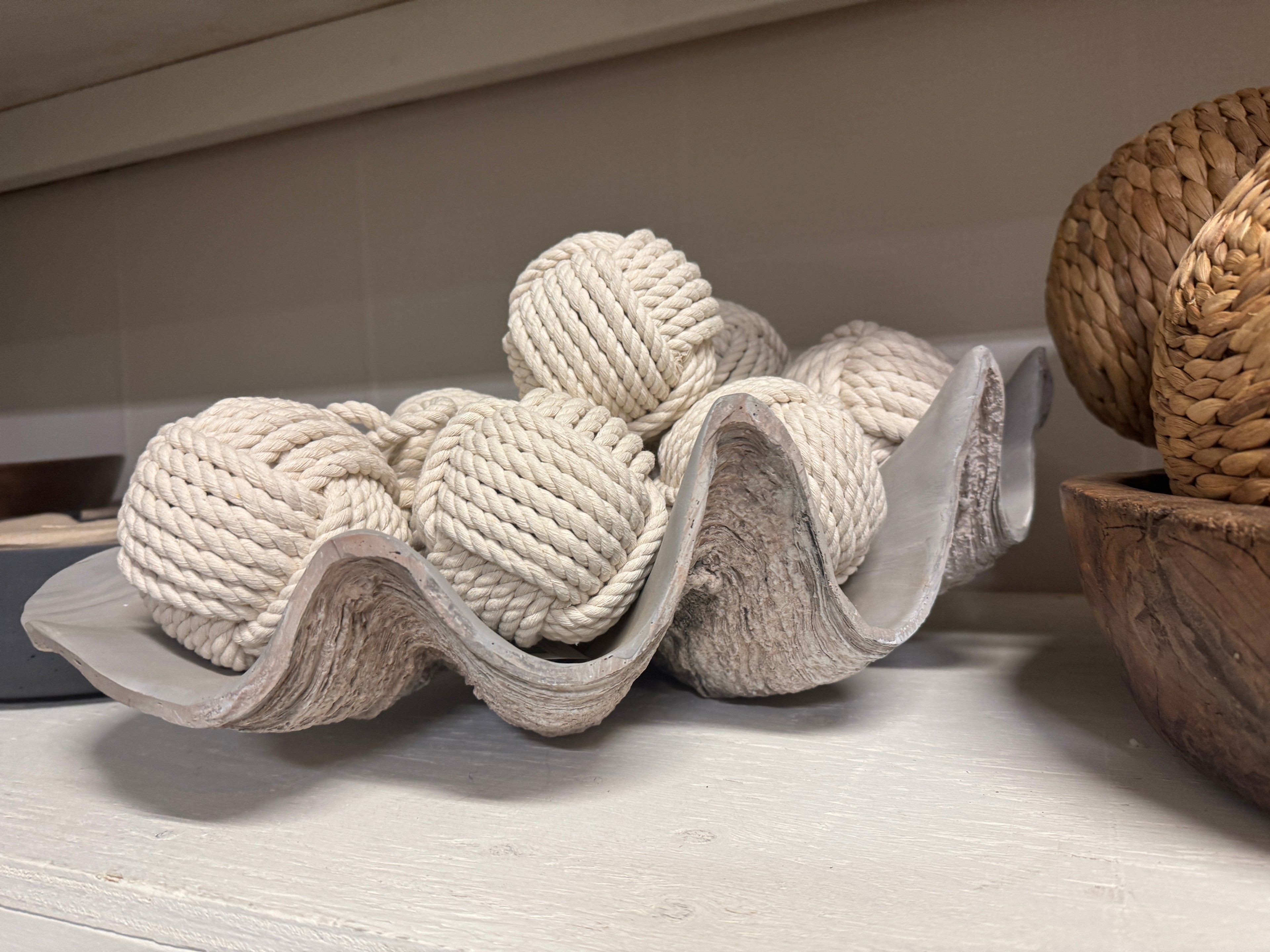 Clamshell bowl rental
