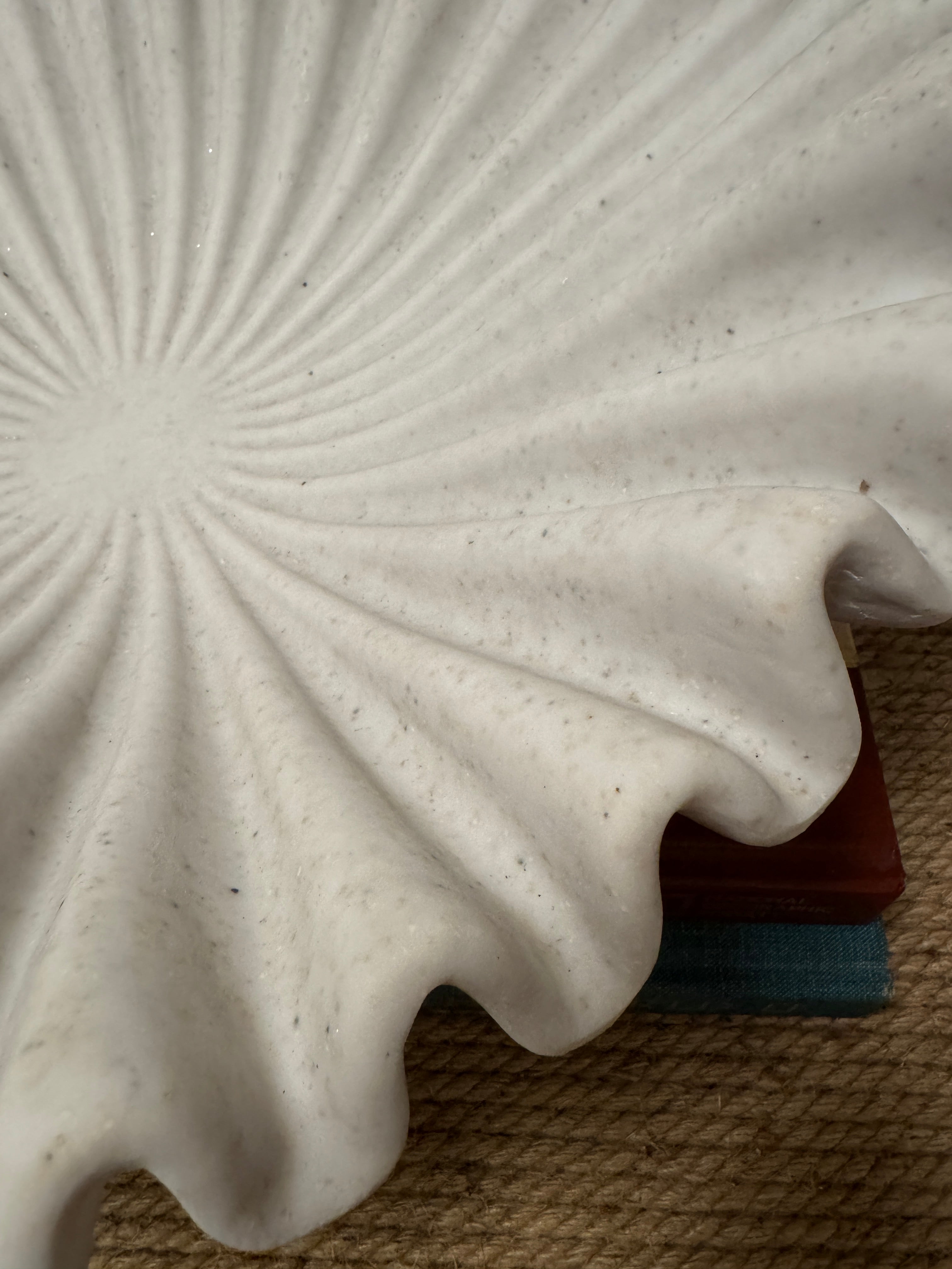 XL scalloped bowl rental