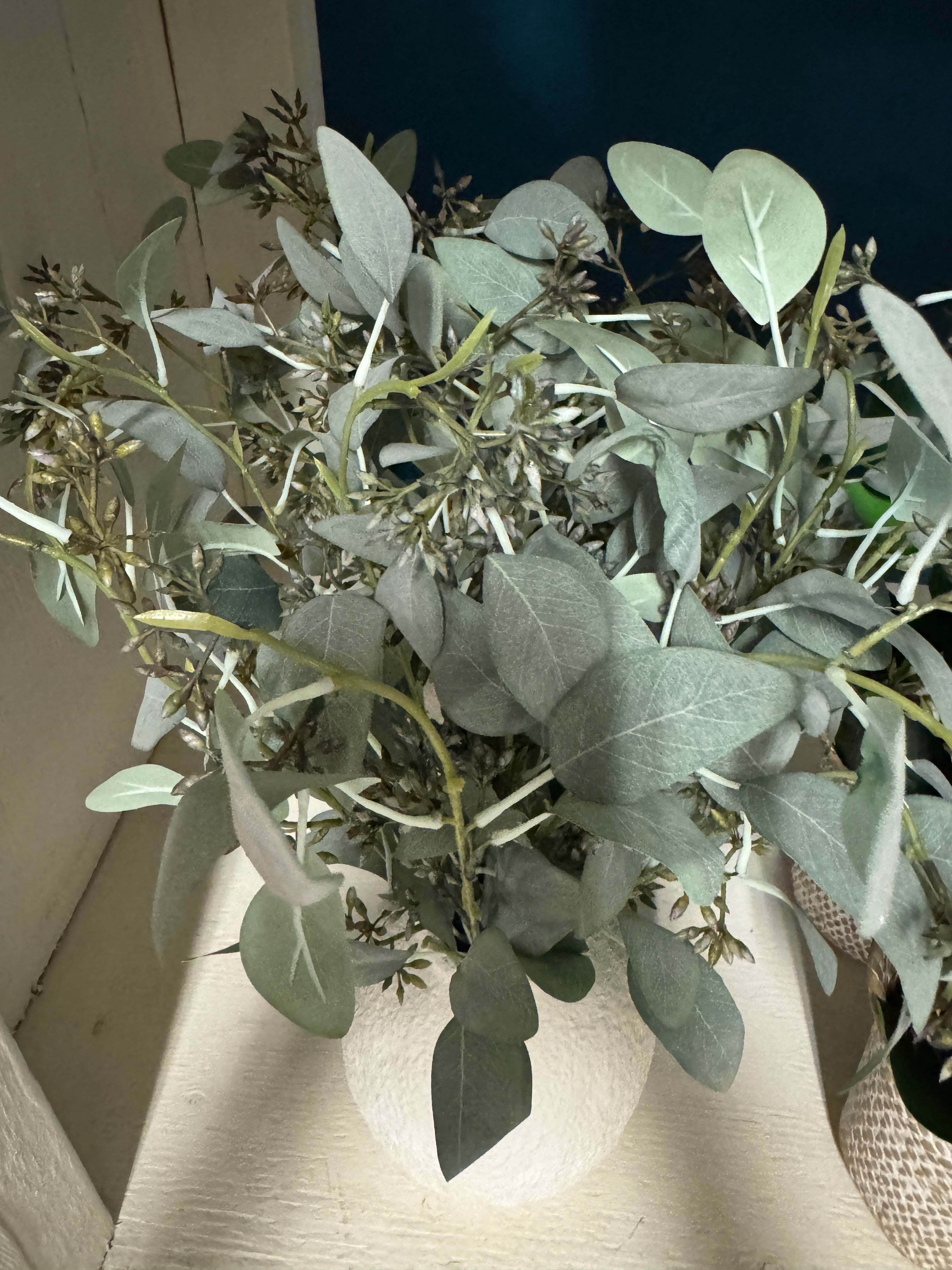 Seeded eucalyptus in a vase rental