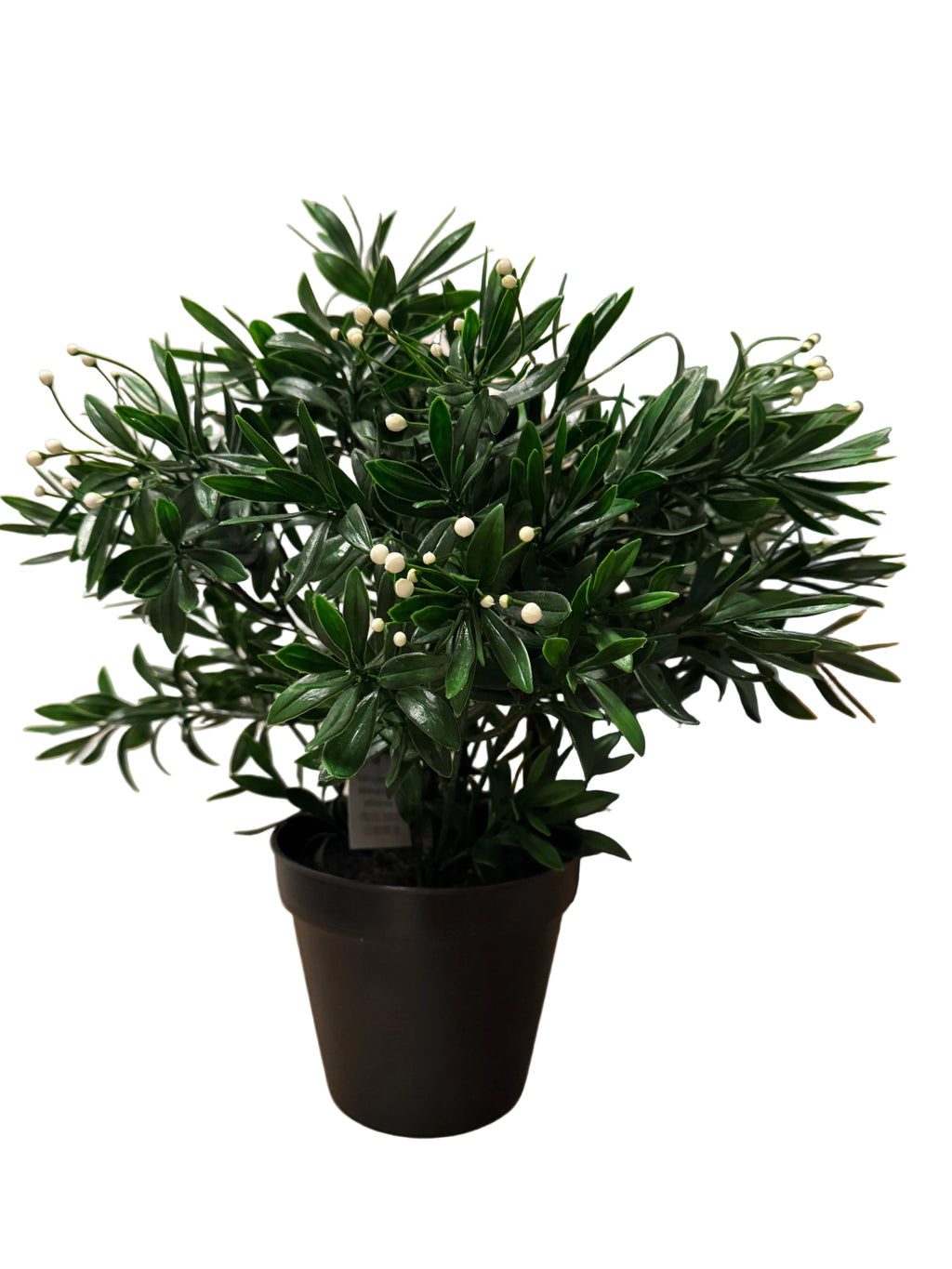 Faux greenery plant rental