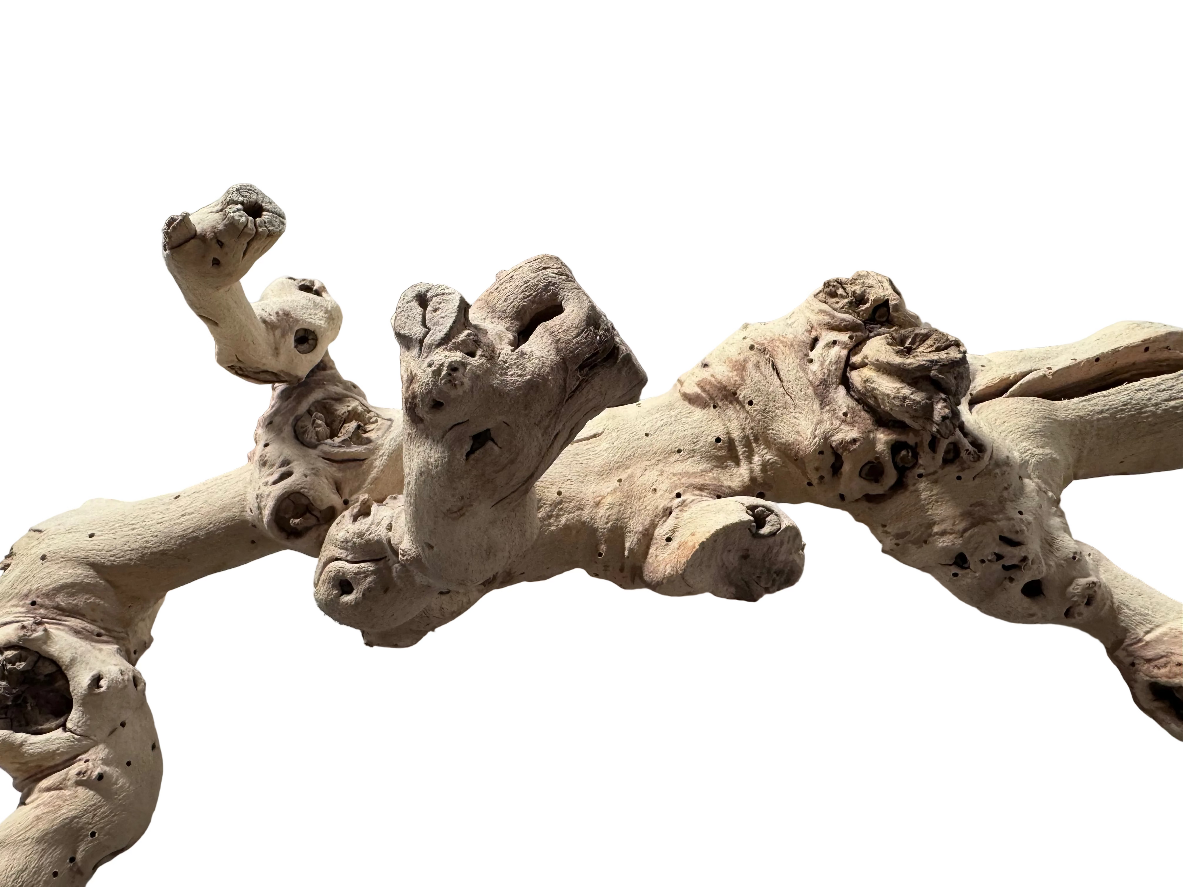 Large long driftwood piece 30” rental