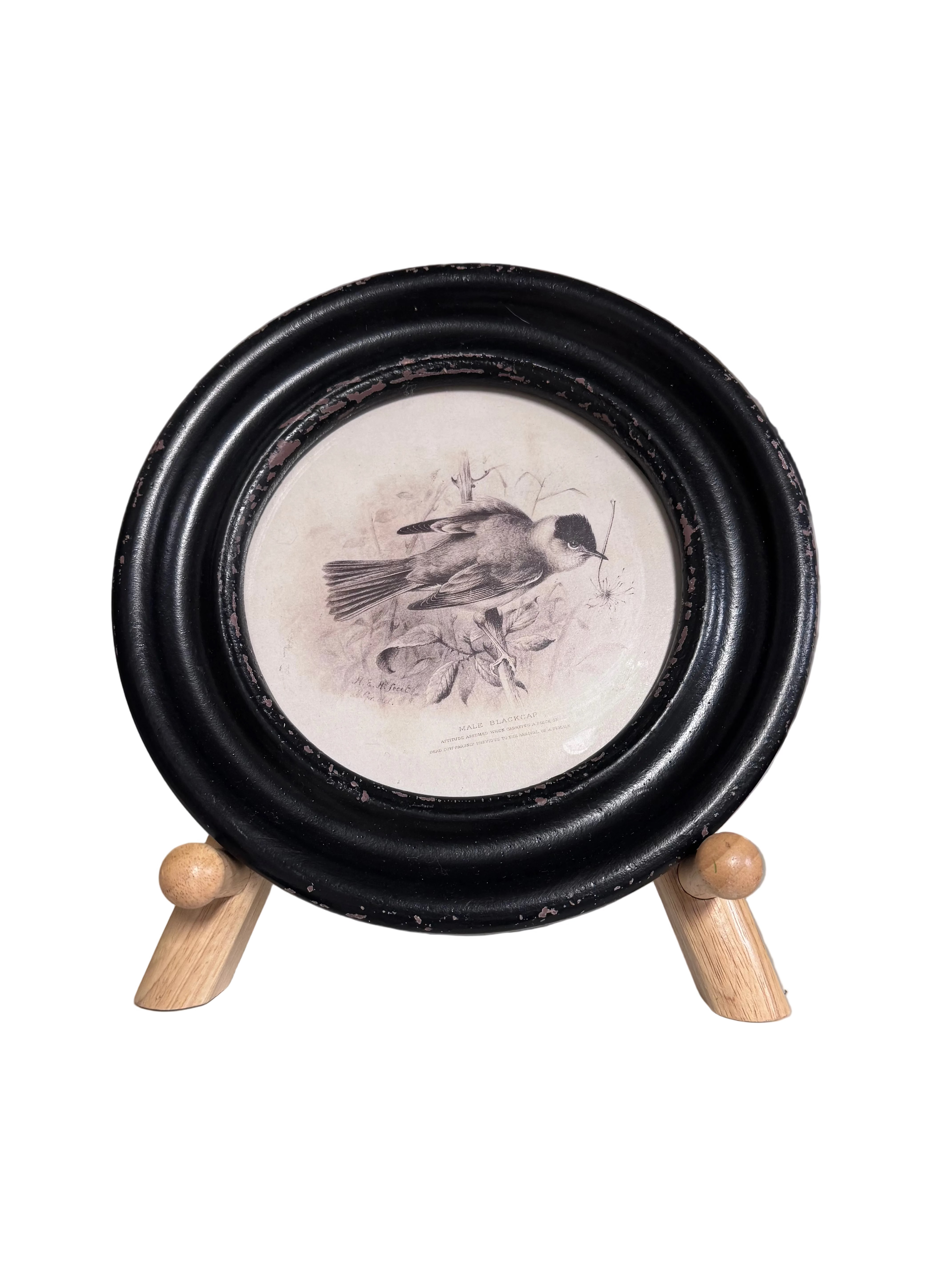 Round art on wooden easel rental