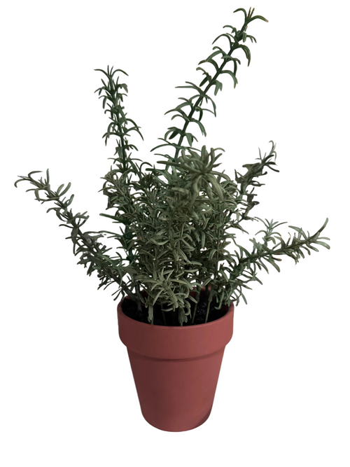 10” faux. herb plant rental