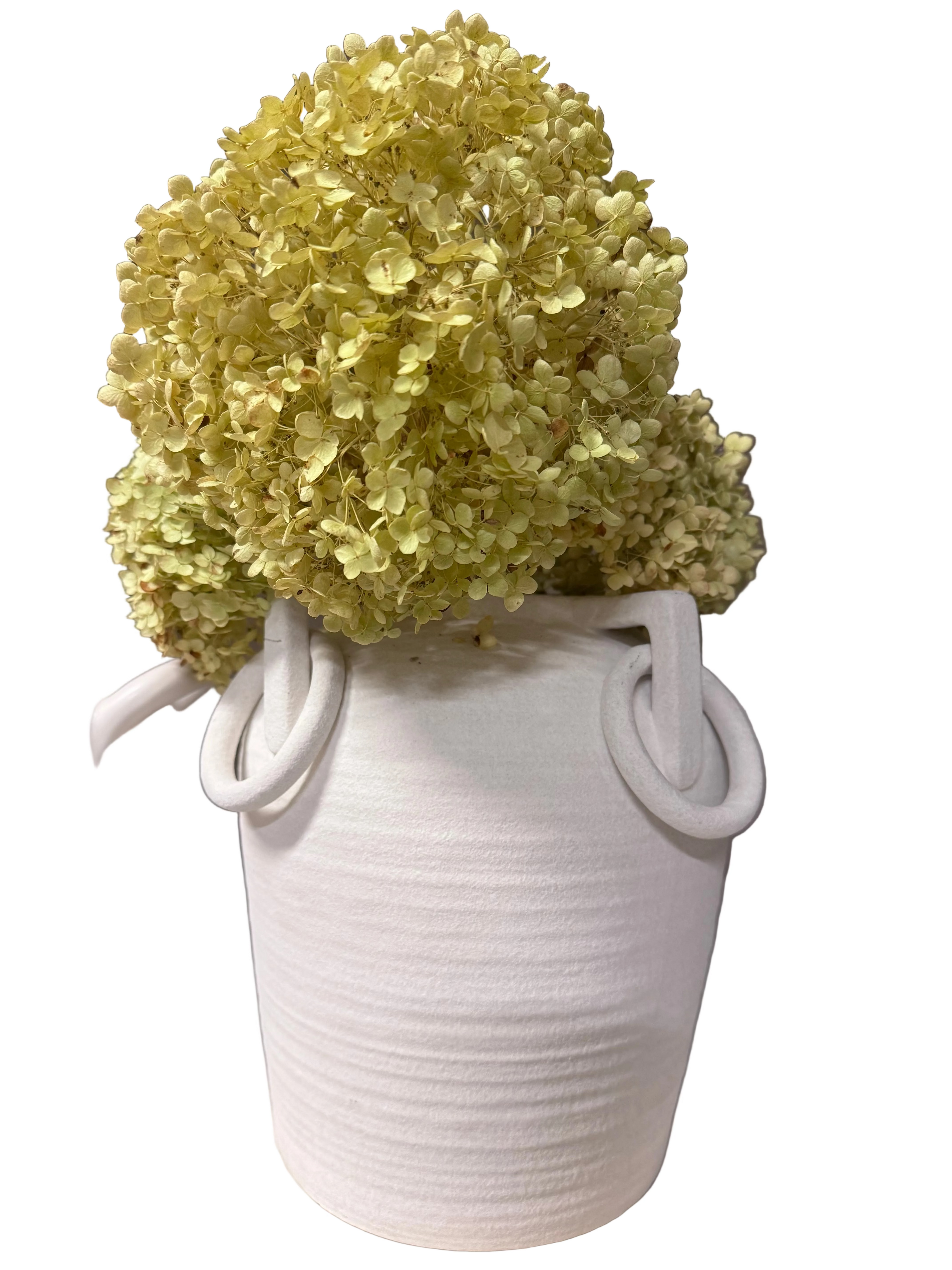 Large White pottery jug vase rental